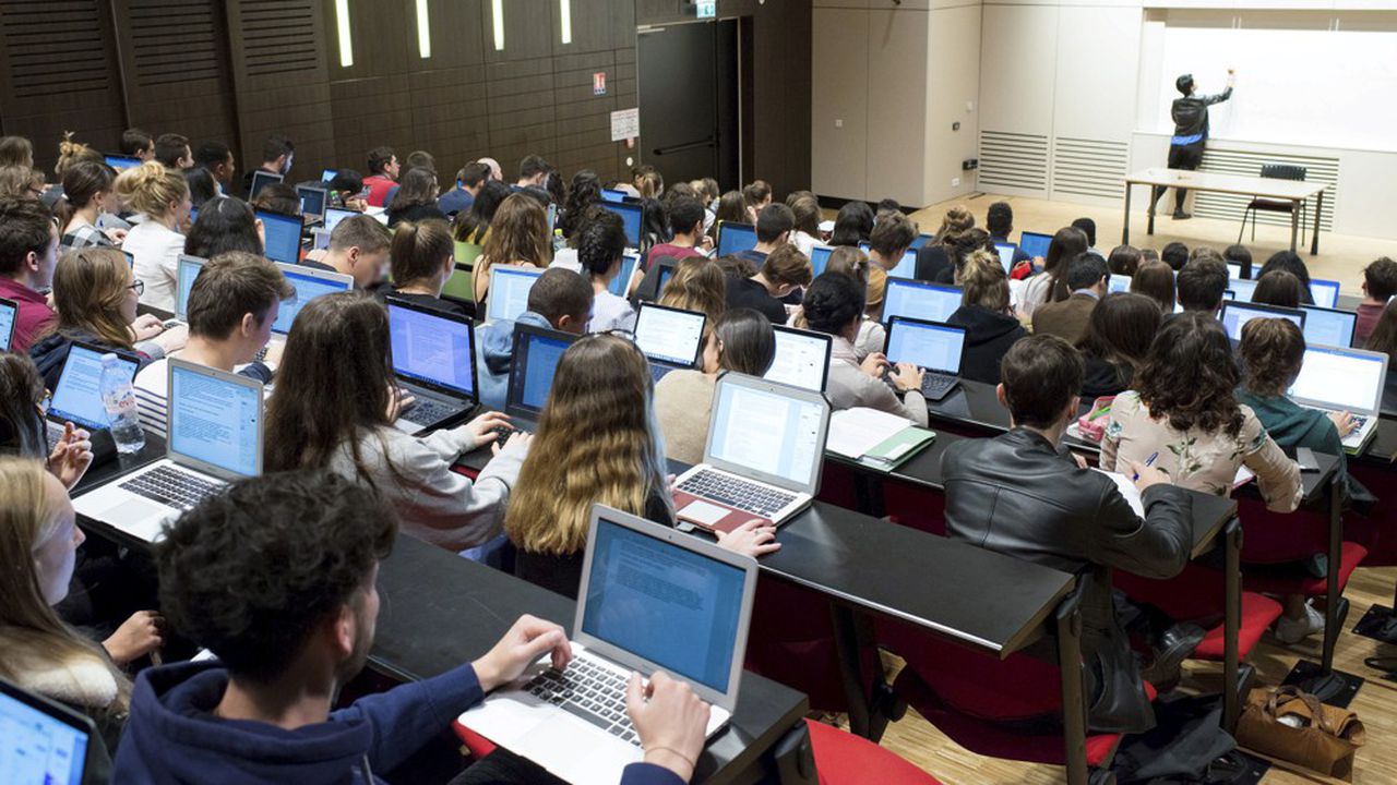 L'actu perchée - Les étudiants L'actu perchée de Loizeau L'actu perchée - Les étudiants