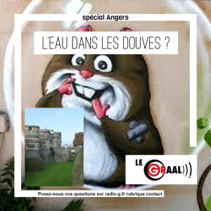 Question Graal Graal - Pourquoi n'y a-t-il pas d'eau dans les douves du Château d’Angers ?