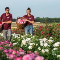 En balade avec Camille En balade avec Camille - Terre de Rose