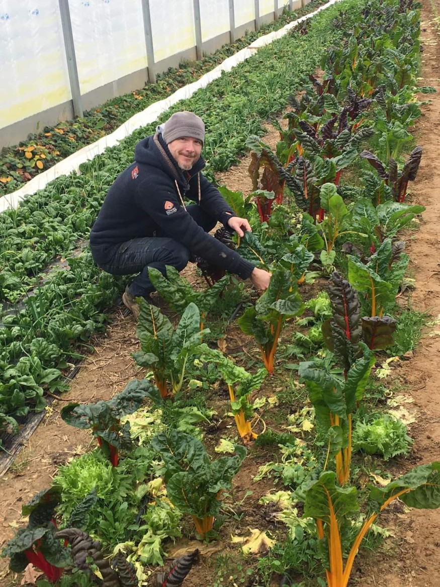 Penser Local - Le potager d’Hecto Penser Local Penser Local - Le potager d’Hecto