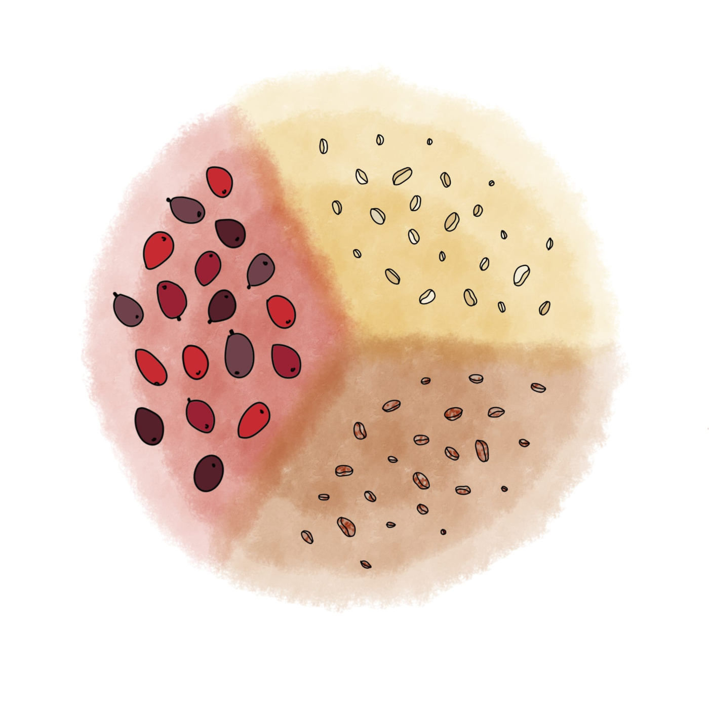 Le traitement post-récolte
