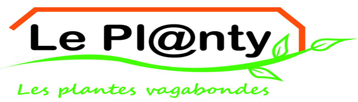 Planty